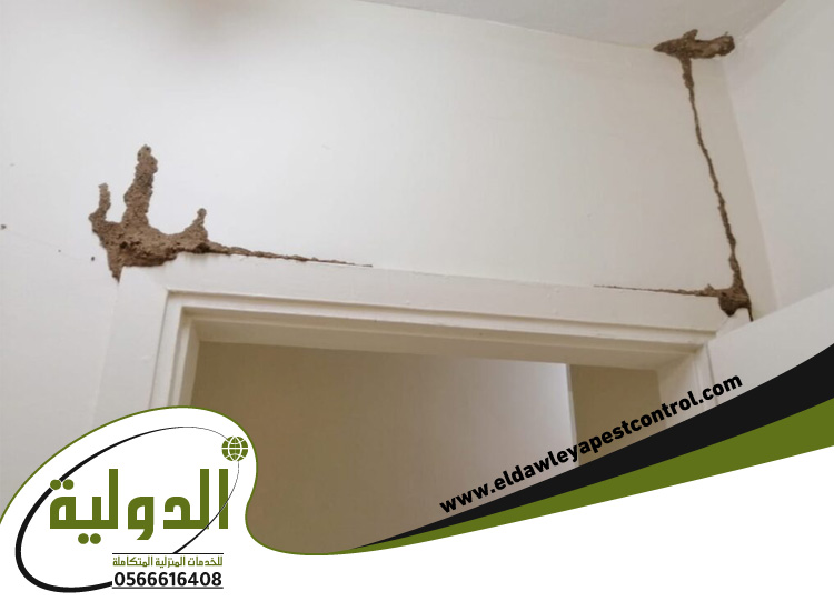 شركة مكافحة العتة بجدة 0566616408