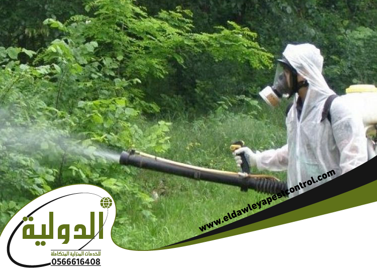 شركة رش دفان بجدة 0566616408